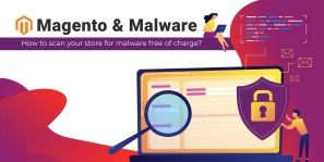 Magento Security Check: Protect Your Store from Vulnerabilities