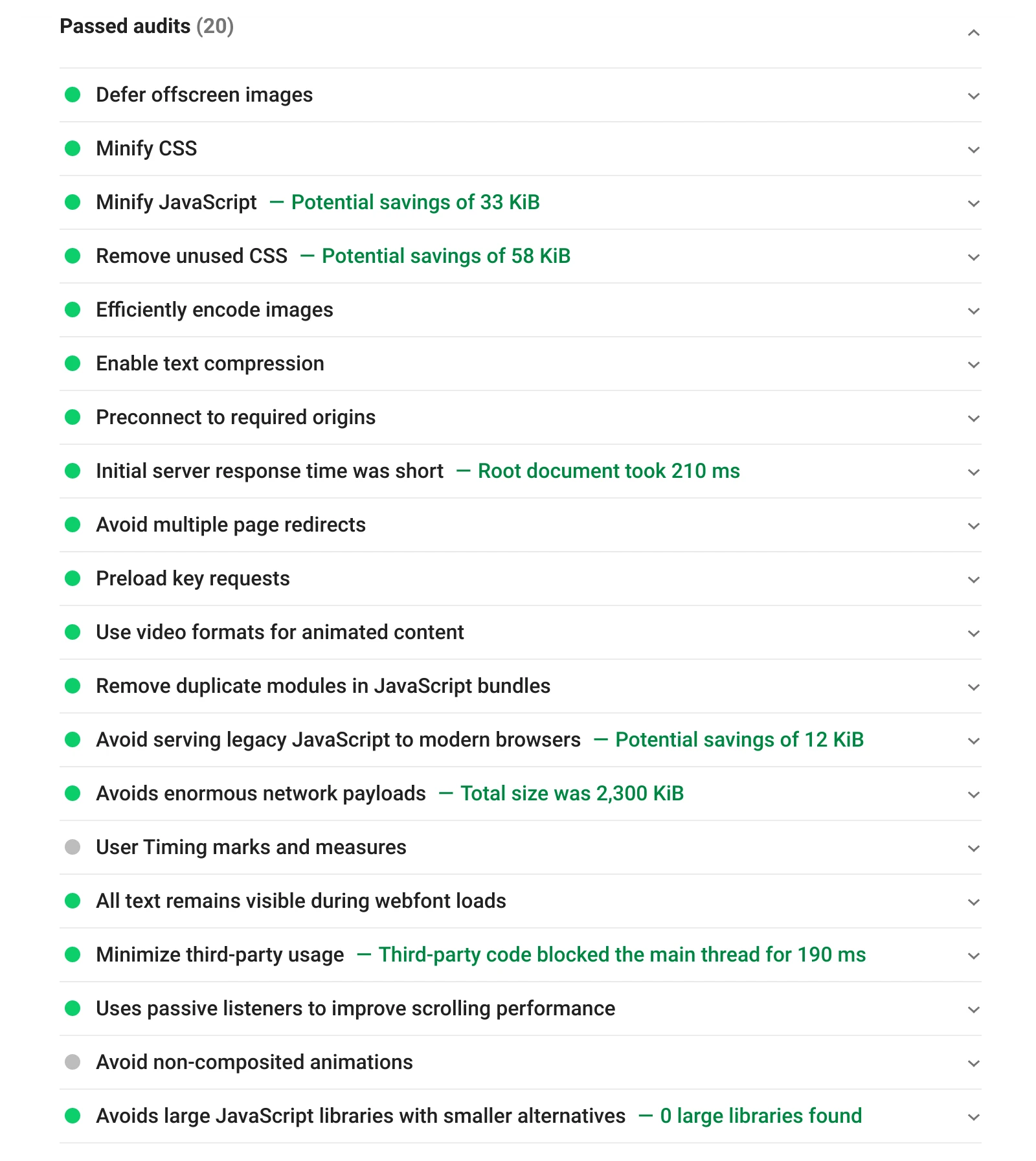 Passed Audits section in Google PageSpeed Insights